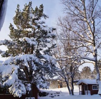 Skabu Maison | Bustad Hyttetun