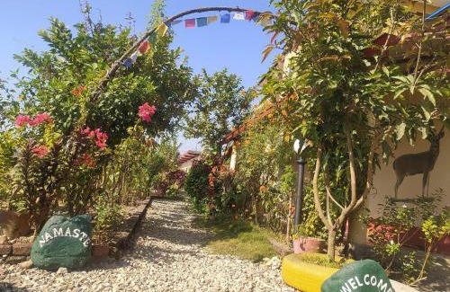 Sauraha Maison | Busy Bee Guest House