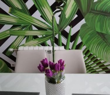 Cacak Appartement | Butterfly