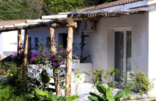Marina di Zambrone Hôtel | BV Kalafiorita Resort