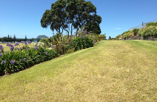 Tauranga Maison | By The Harbour