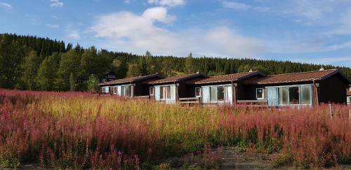 Hallen Cabine | Bydalens Fjällby