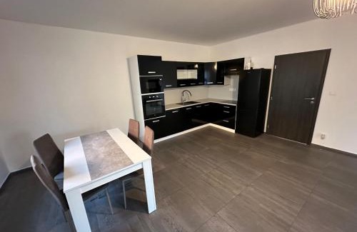 Nedvezi u Rican Appartement | Byt apartman 73m2 Klid příroda Parking FREE