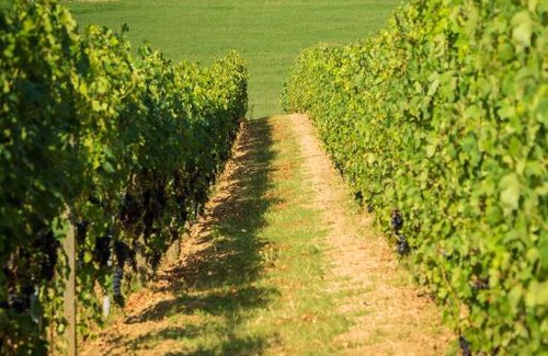 Vignale Monferrato Hôtel | Cà dell'Ebbro