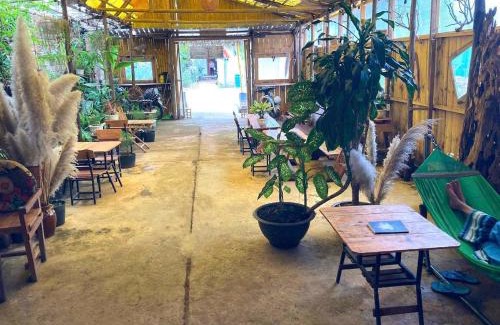 Kon Plong Maison | Cà Phê Dưới Hiên Nhà