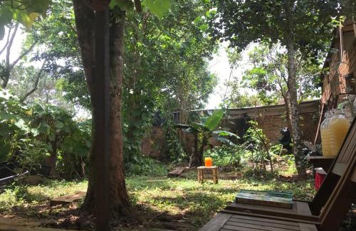 Kon Plong Maison | Cà Phê Dưới Hiên Nhà