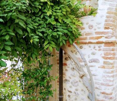 Volta Mantovana Maison | Cà Romi
