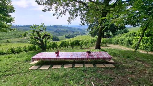 Barbaresco Maison | Cà Trifolera Barbaresco - Romantico Cascinale con antica cantina nel cuore delle Langhe - DEGUSTAZIONE VINI NELLA NOSTRA CANTINA