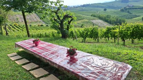 Barbaresco Maison | Cà Trifolera Barbaresco - Romantico Cascinale con antica cantina nel cuore delle Langhe - DEGUSTAZIONE VINI NELLA NOSTRA CANTINA