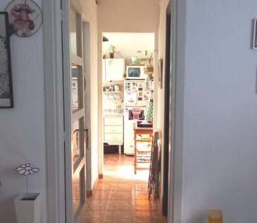 Cordon Appartement | Cálido apartamento a 8 cuadras del mar y a 3 de 18 Julio Estarán acompañados por una gatita que vive alli