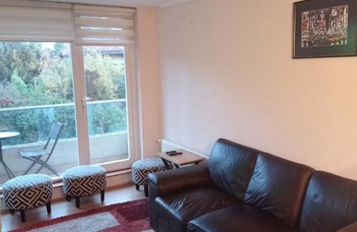 Concepcion Appartement | Cómodo departamento en las lomas de San Andrés