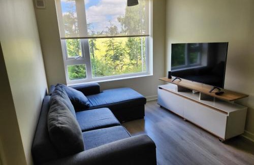 Osorno Appartement | Cómodo y acogedor departamento