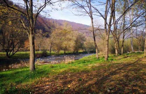 Bulz Maison | Căsuțe Zăvoi Bulz