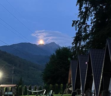 Cartisoara Autre | Căsuțele de sub pădure