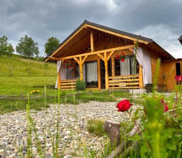 Ocna Sugatag Cabine | Căsuțele din Poiană