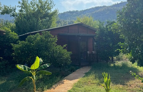 Cirali Appartement | Cıralı Anka Apart Bungalov