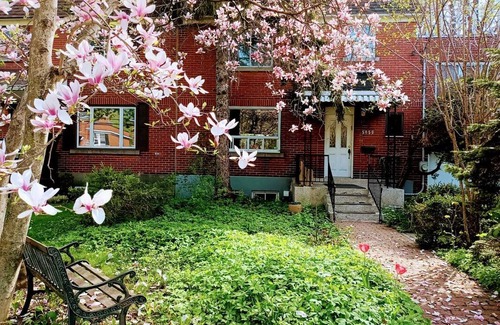Cote-Des-Neiges—Notre-Dame-De-Grace Station Balnéaire | Chambre privée ∙ 1 personne