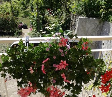Sestri Levante Maison | Ca' da Rina