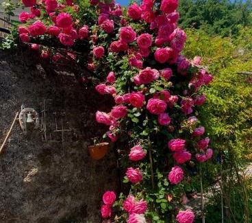 Sestri Levante Maison | Ca' de natta