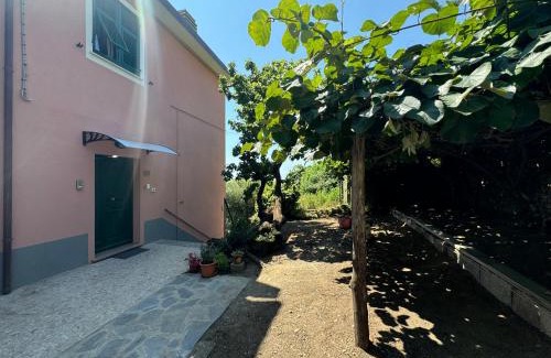 Volastra Appartement | Ca' dii Bürsa - HOMY 5 TERRE