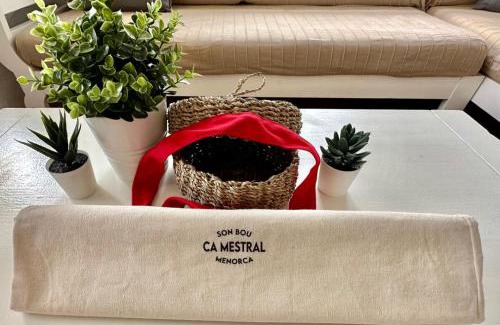Son Bou Appartement | Ca Mestral Son Bou Urbanización típica menorquina.