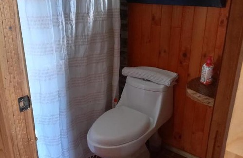 Frutillar Chalet De Ski | Cabaña con vista al Volcan