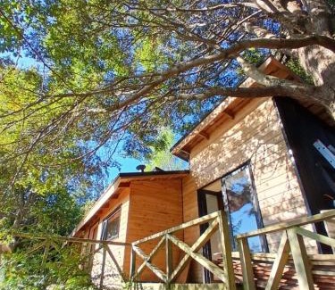 Cunco Chalet De Ski | Cabaña con vista al Lago Colico