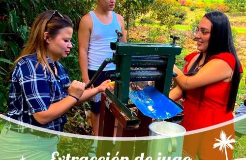 Pejibaye Chalet De Ski | Cabaña el Guayabal
