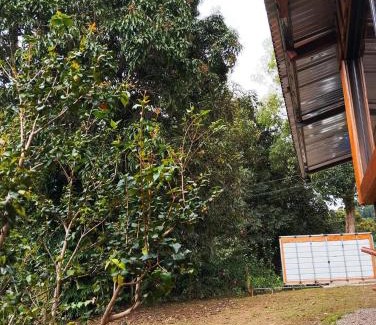 Rivas Autre | Cabaña el Mango