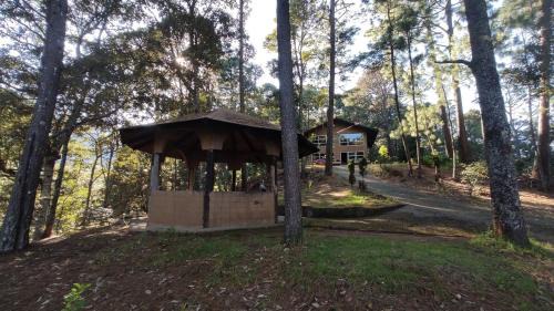 Charo Chalet De Ski | Cabaña en Bosque Privado - Cabaña 1