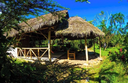Ahuano Cabine | Cabaña en la Selva, Cómoda, Cercana a a Ríos y Rodeada de Bosque
