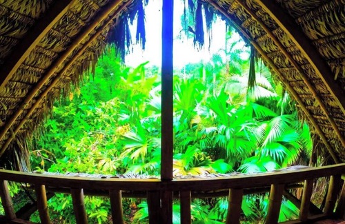 Ahuano Cabine | Cabaña en la Selva, Cómoda, Cercana a a Ríos y Rodeada de Bosque