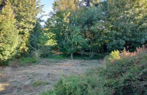 Valdivia Maison | Cabaña en parcela a 5 minutos de Valdivia