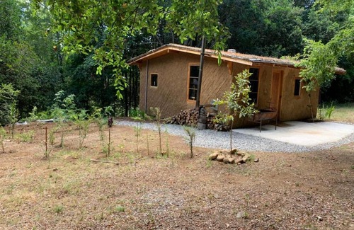 Villarrica Maison | Cabaña Entre Boldos, Camino Villarrica