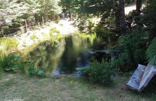 Panguipulli Cottage | Cabaña entre saltos y termas