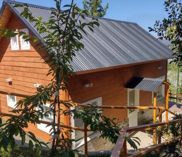 Villa Pehuenia Chalet De Ski | Cabaña La Encontrada