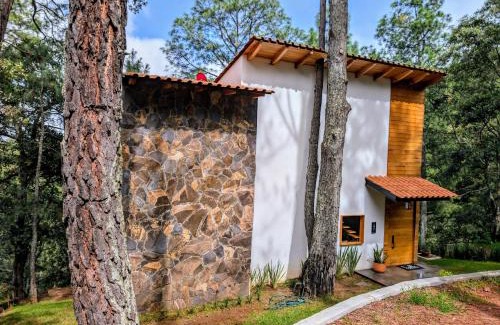 Mazamitla Chalet De Ski | Cabaña La Finca Mazamitla