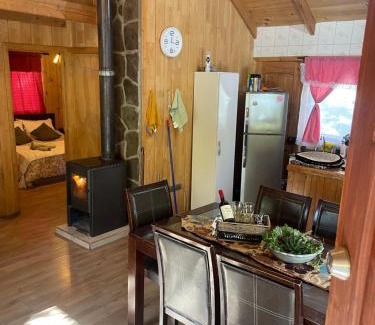 Pinto Chalet De Ski | Cabaña las Trancas