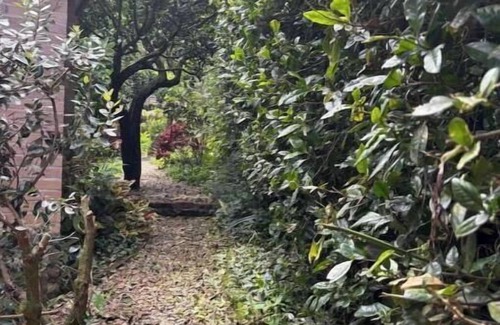 San Francisco Cabine | Cabaña Lima, tranquility and nature