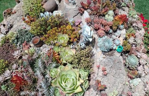 Sutamarchan Maison | CABAÑA LOS JUANES