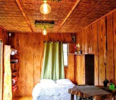 Concepcion Chalet De Ski | Cabaña Mountain View