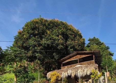 Necocli Maison | Cabaña Murringo a dos minutos en coche de Necobotes en Necoclí