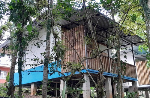 Carara Cabine | Cabaña Para 4 Personas Complejo Turístico Fuga Ecolodge