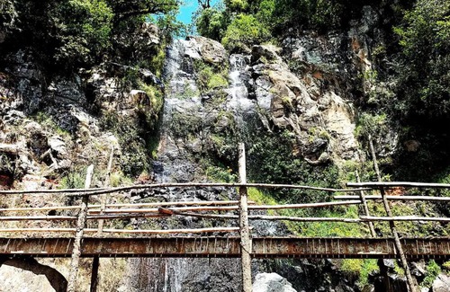 Acaxochitlan Autre | Cabaña para pareja en el bosque IB