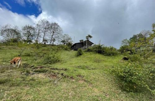 Copey Chalet De Ski | Cabaña Rural de Montaña en La Cima de Dota