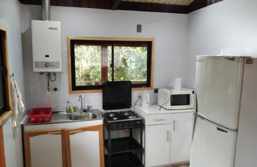 Valdivia Maison | Cabaña selva Valdiviana
