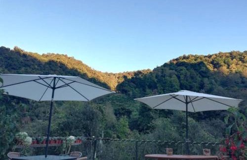 San Gerardo de Dota Cabine | Cabaña Tangara