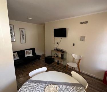Valdivia Appartement | CABAÑA TIPO DEPARTAMENTO ISLA TEJA