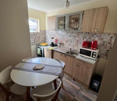 Valdivia Appartement | CABAÑA TIPO DEPARTAMENTO ISLA TEJA