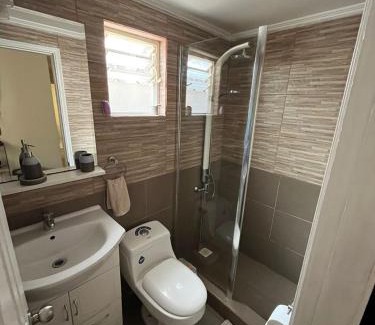 Valdivia Appartement | CABAÑA TIPO DEPARTAMENTO ISLA TEJA